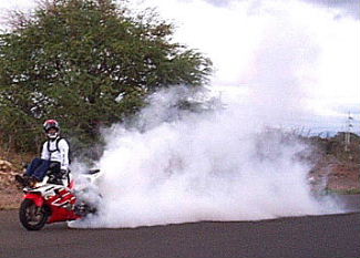 Honda CBR 600 burn-outs